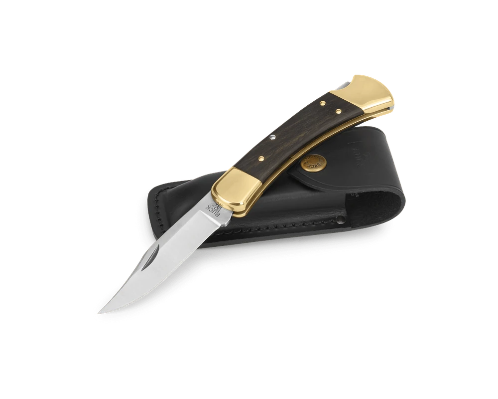 Buck 110 Folding Hunter with leather sheath