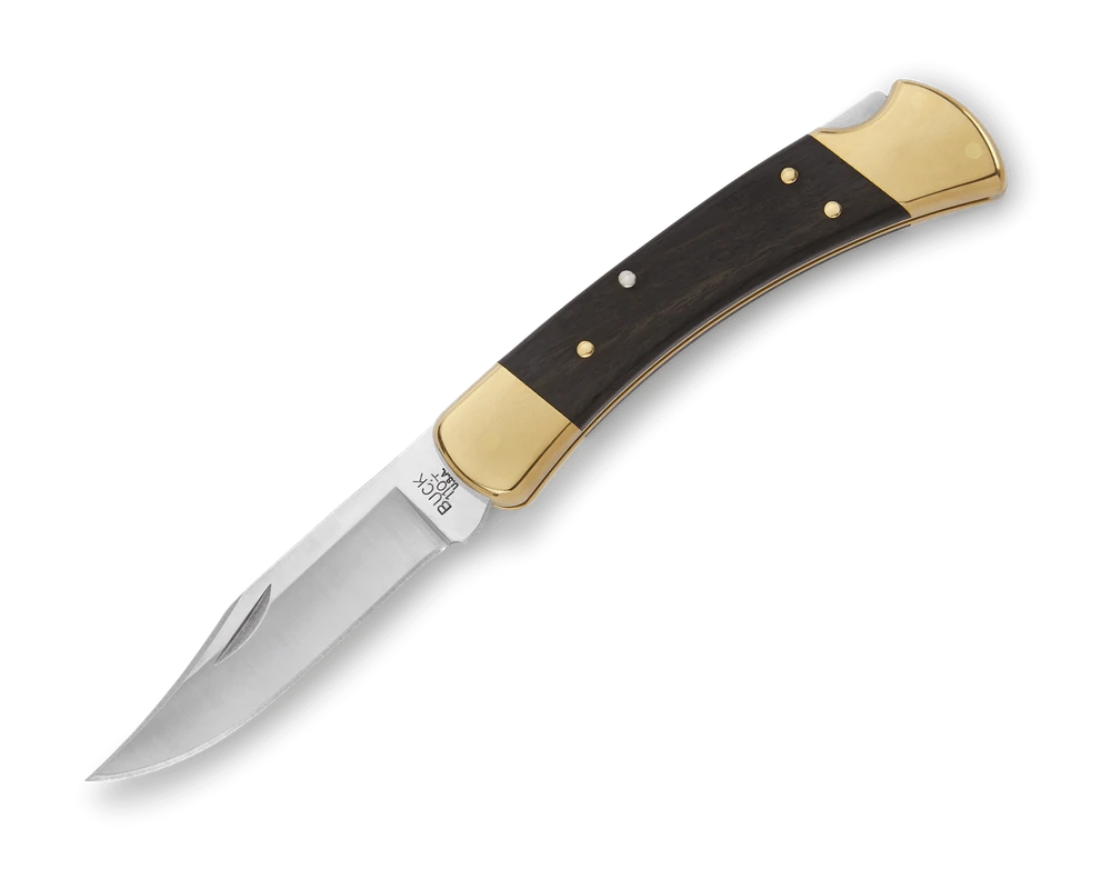 Buck 110 Folding Hunter Knife